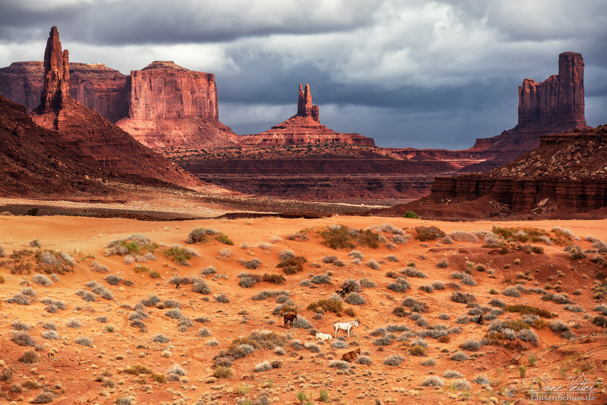 Die Wildpferde im Monument Valley